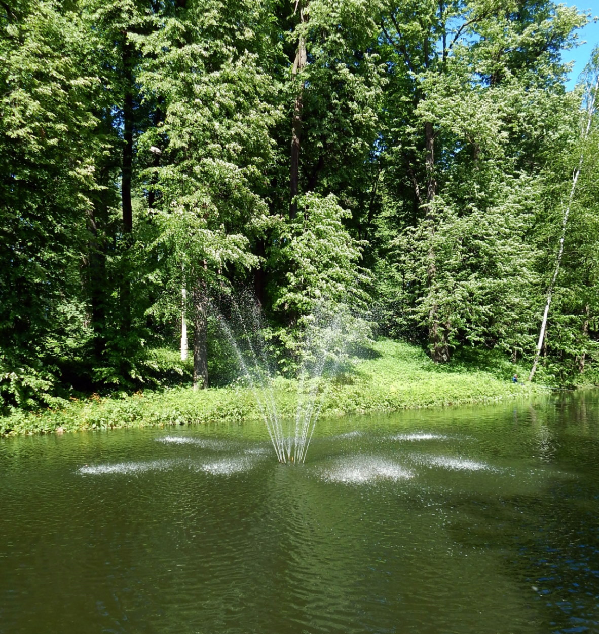 Усадьба "Валуево", image of landscape/habitat.