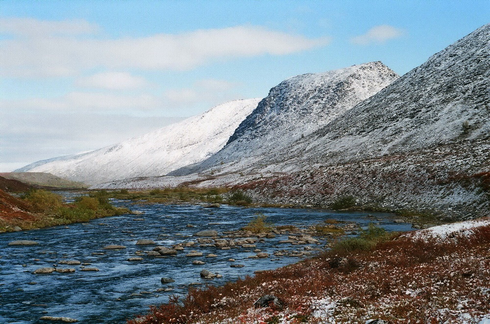 Желанный, image of landscape/habitat.