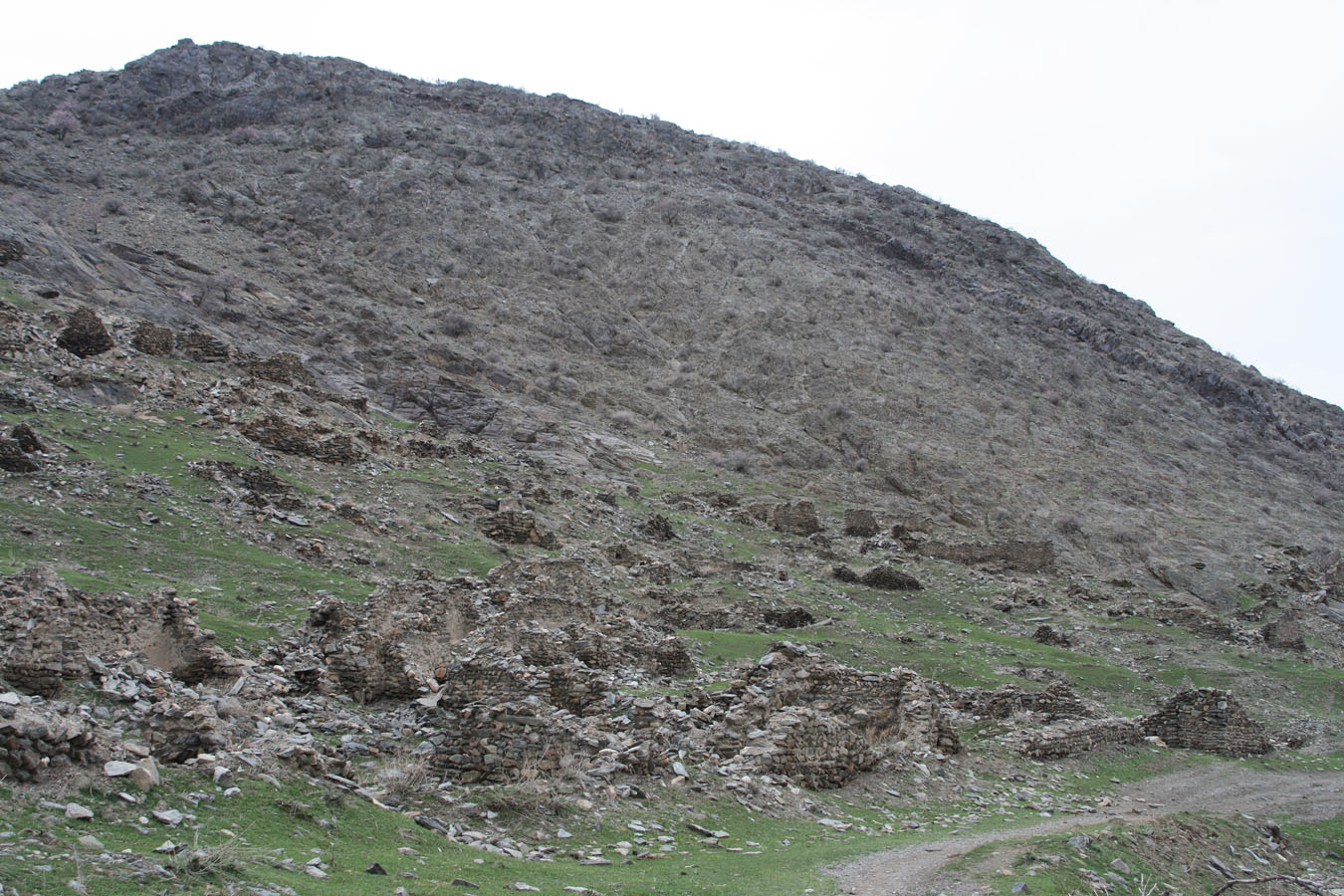 Маджерумсай, image of landscape/habitat.