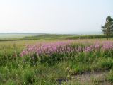 Жердовка, image of landscape/habitat.