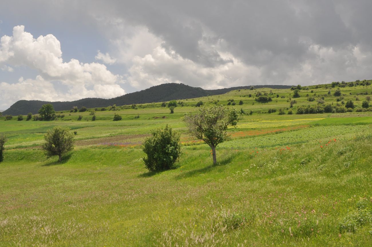 Окрестности села Грели, изображение ландшафта.