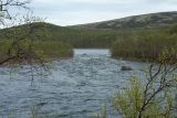 У падунов на Западной Лице, image of landscape/habitat.