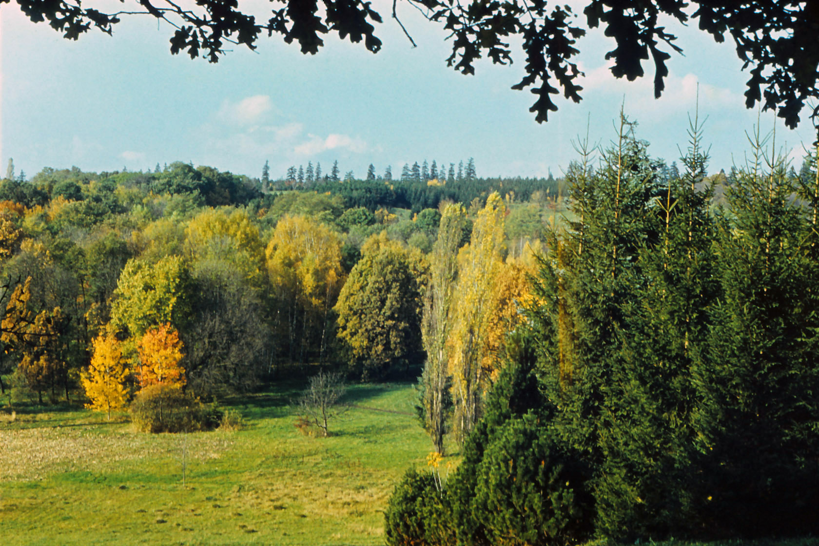 Цаульский парк, изображение ландшафта.