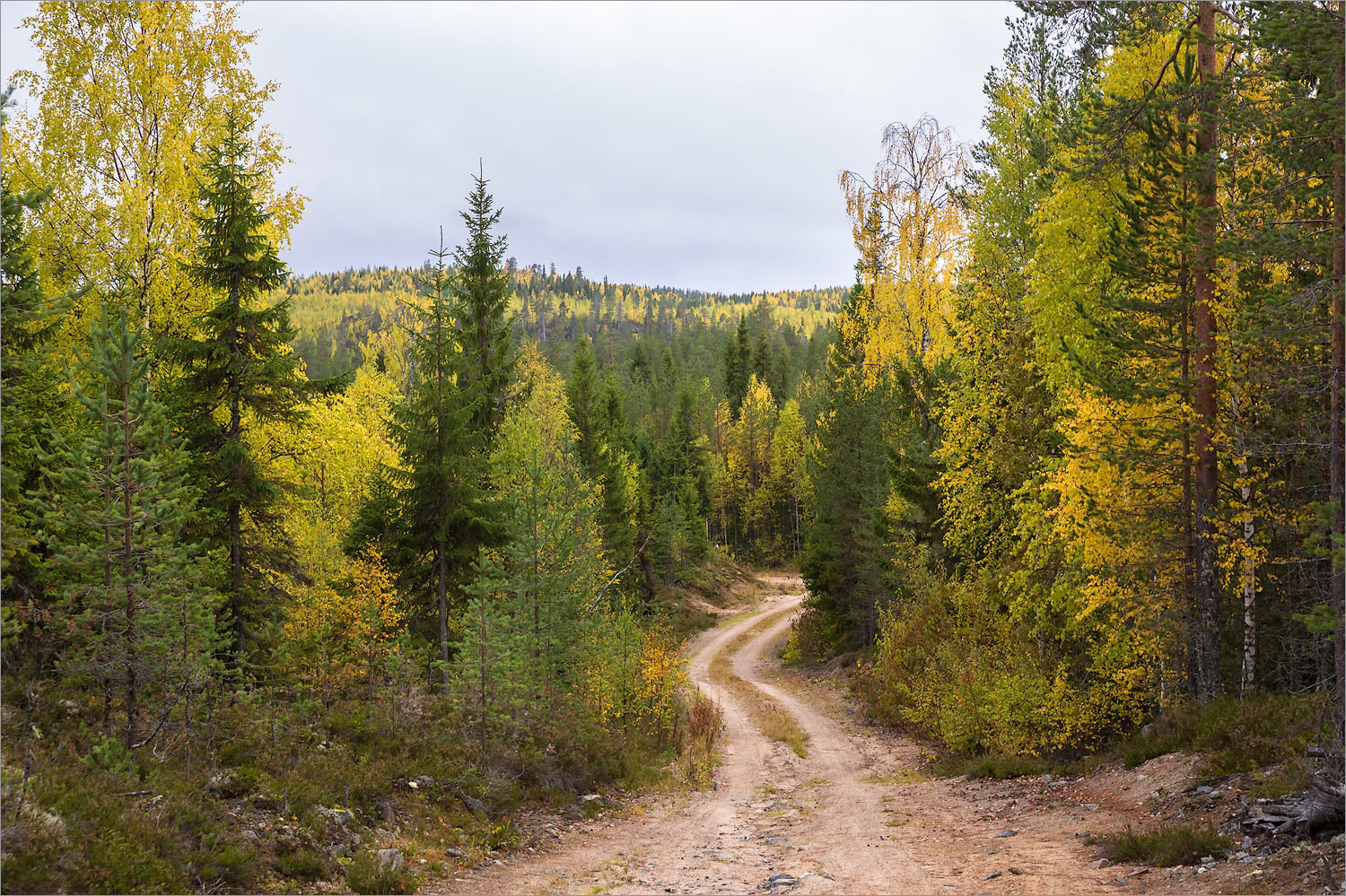 Пизанец, image of landscape/habitat.