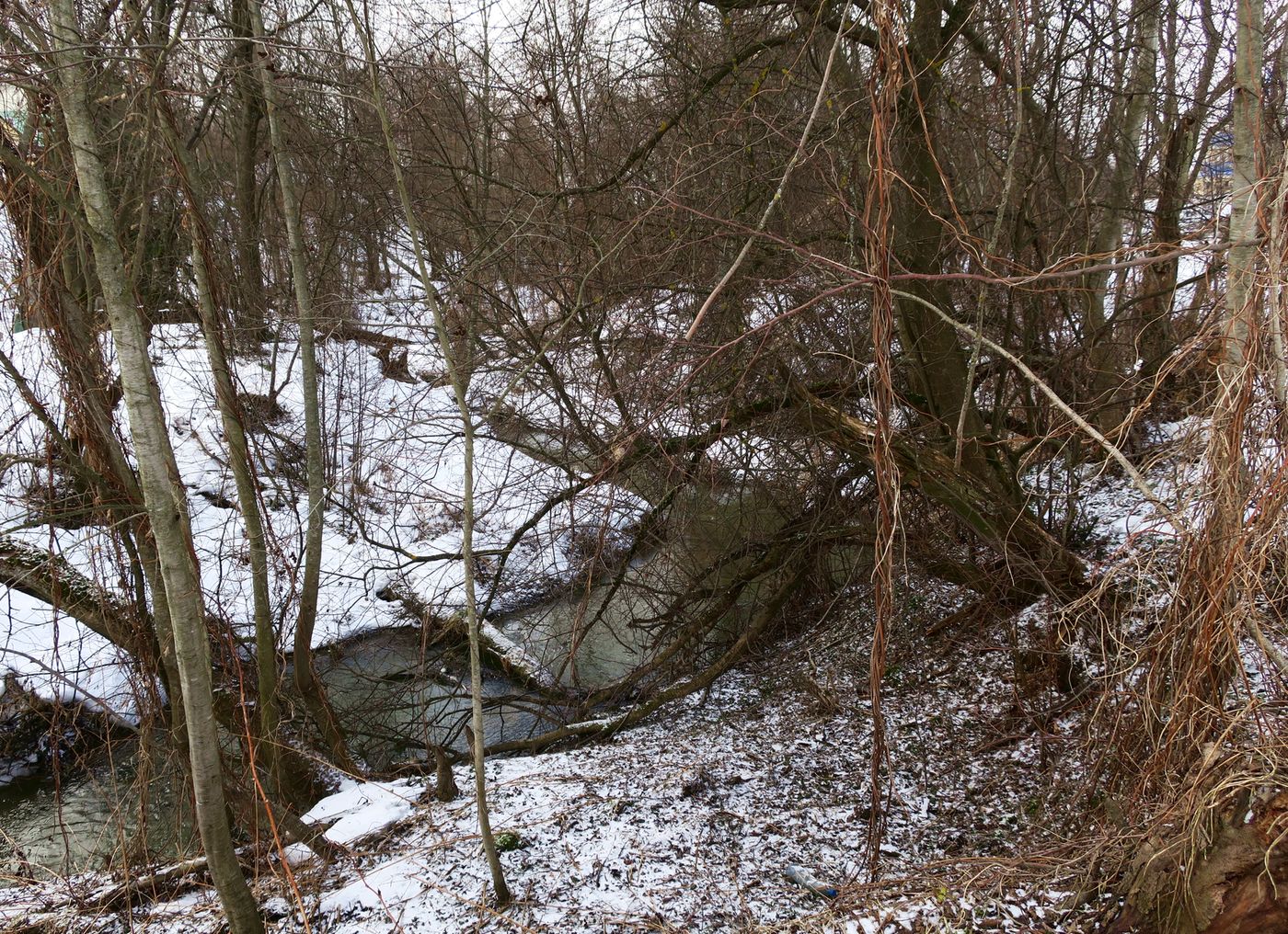 Малоярославец и окрестности, image of landscape/habitat.