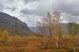 Image of landscape