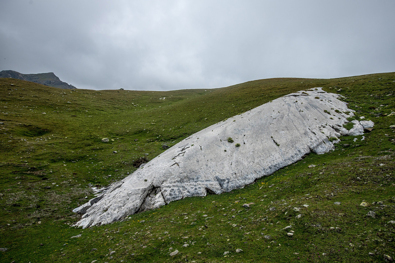 Озеро Провальное, image of landscape/habitat.