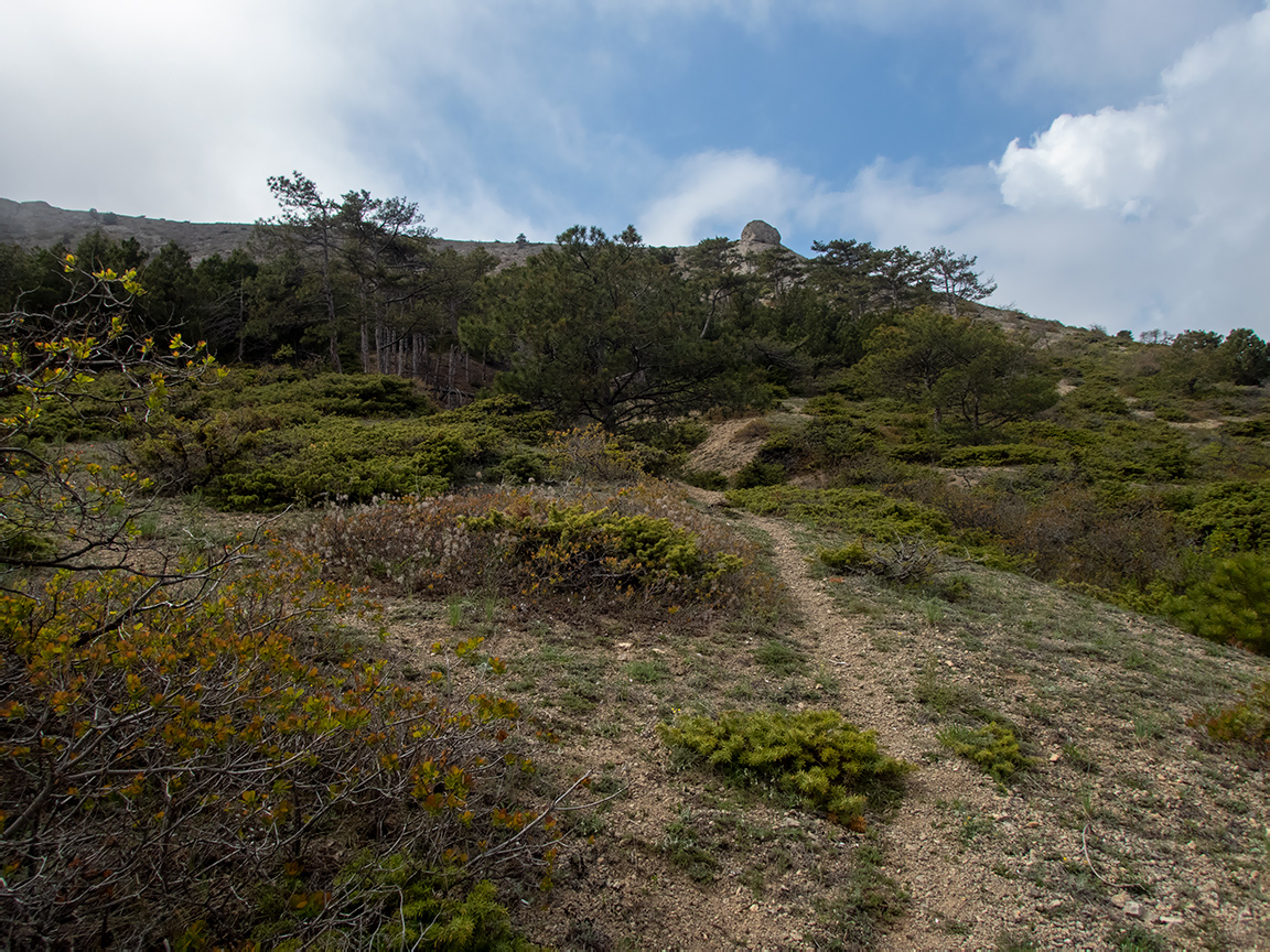 Гора Лысая (Голая), image of landscape/habitat.