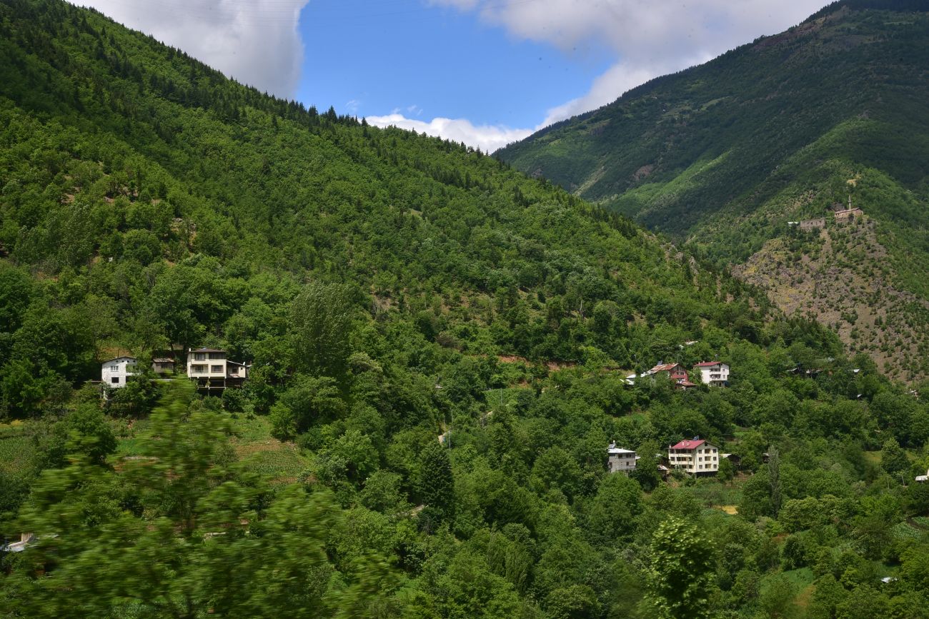Ортакой, image of landscape/habitat.