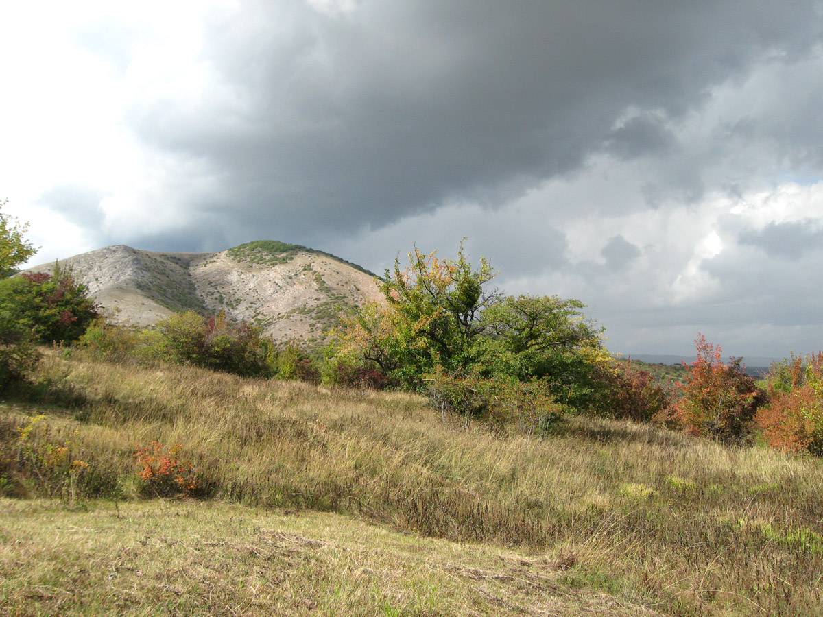 Урочище Аян, image of landscape/habitat.