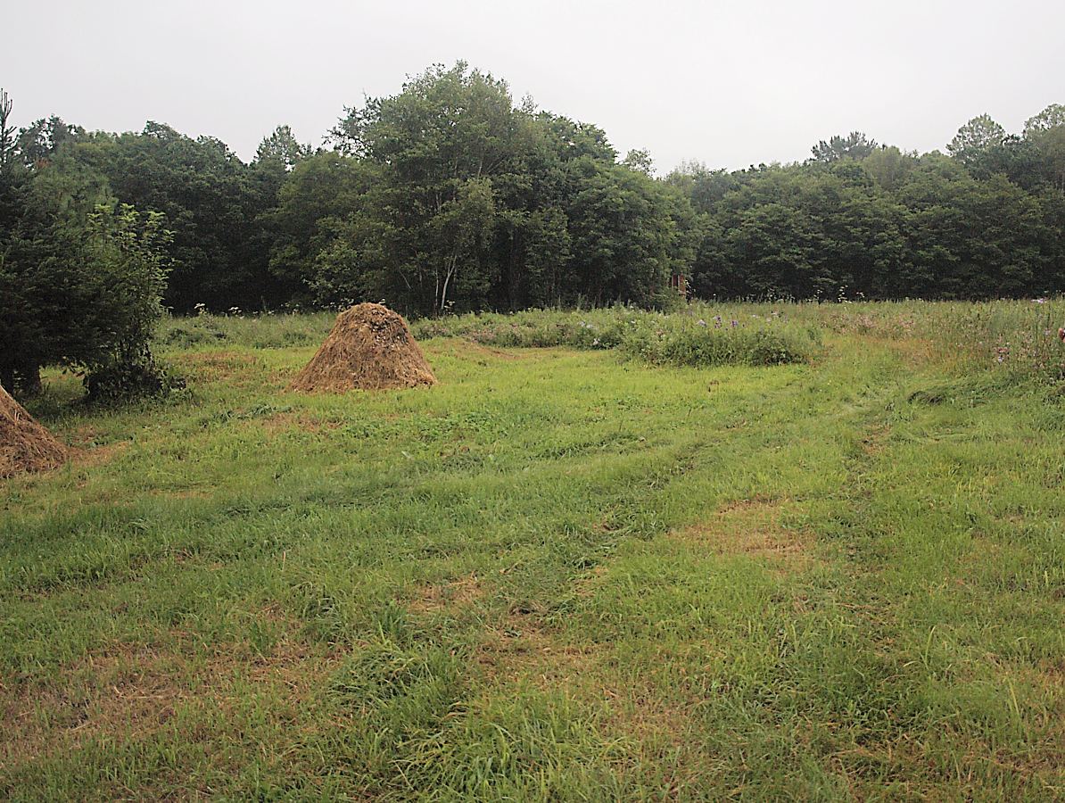 Кордон Америка, image of landscape/habitat.