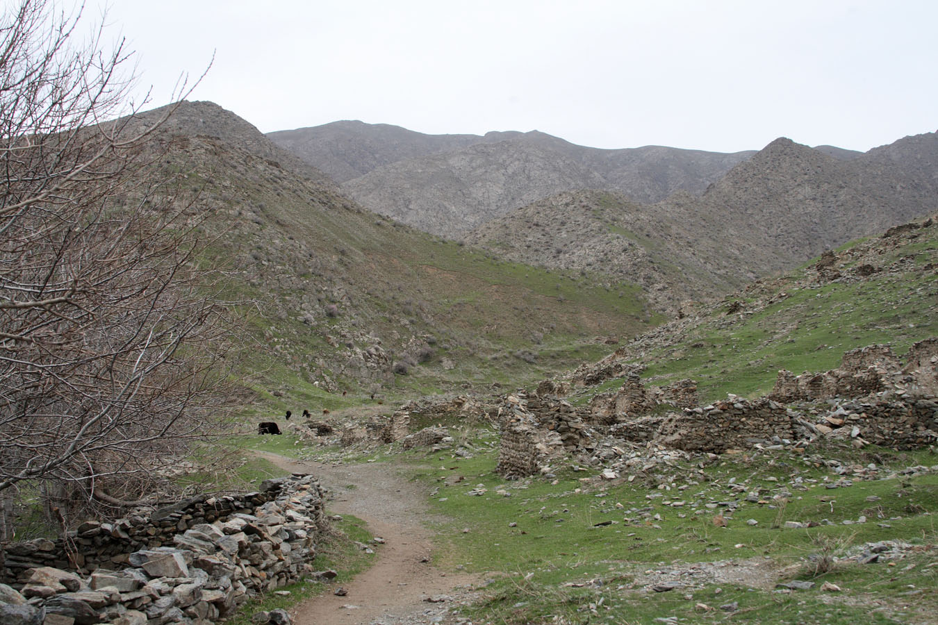 Маджерумсай, image of landscape/habitat.