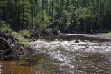 Image of landscape