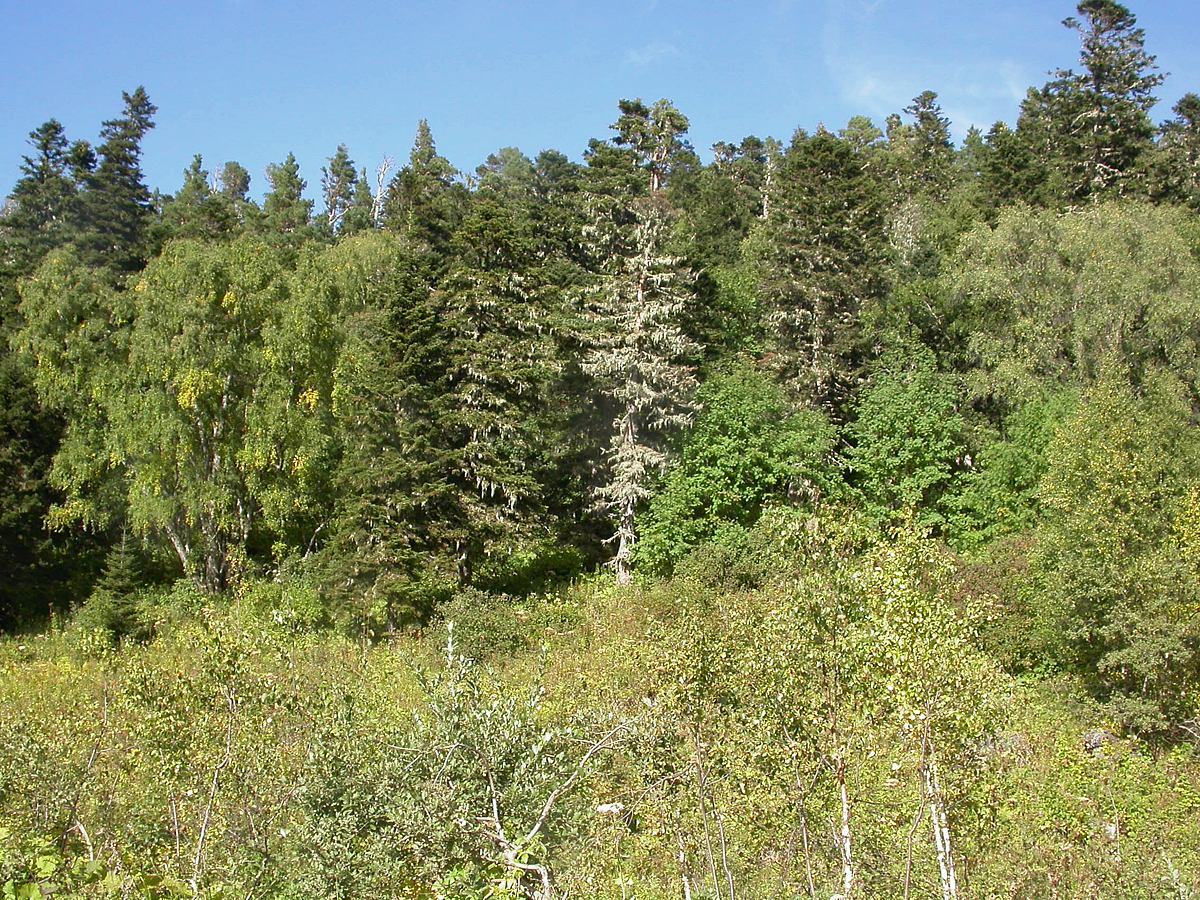 Лагонаки, image of landscape/habitat.