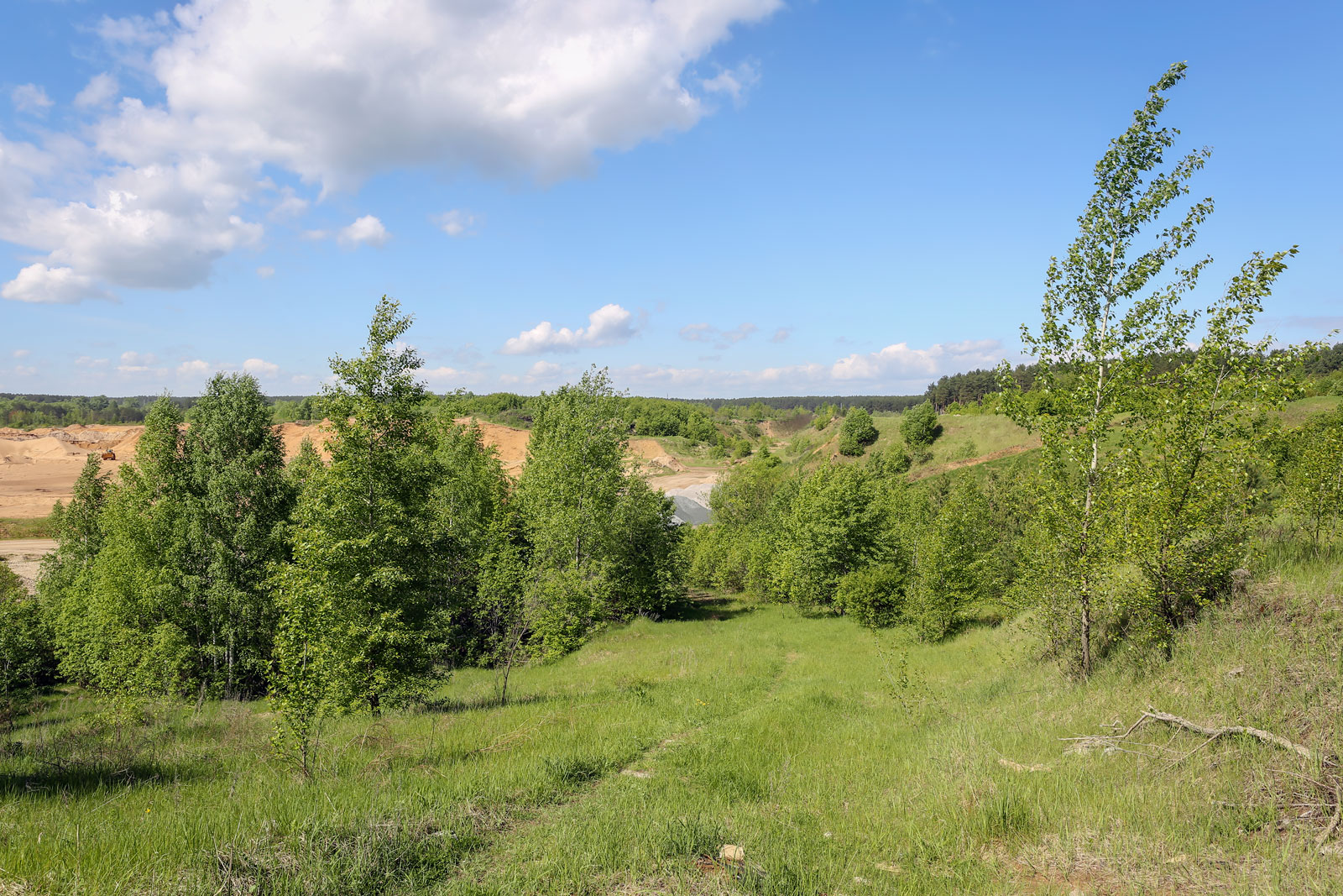 Песчаный карьер, image of landscape/habitat.