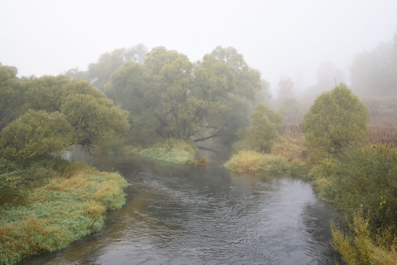 Окрестности деревни Сатино, image of landscape/habitat.