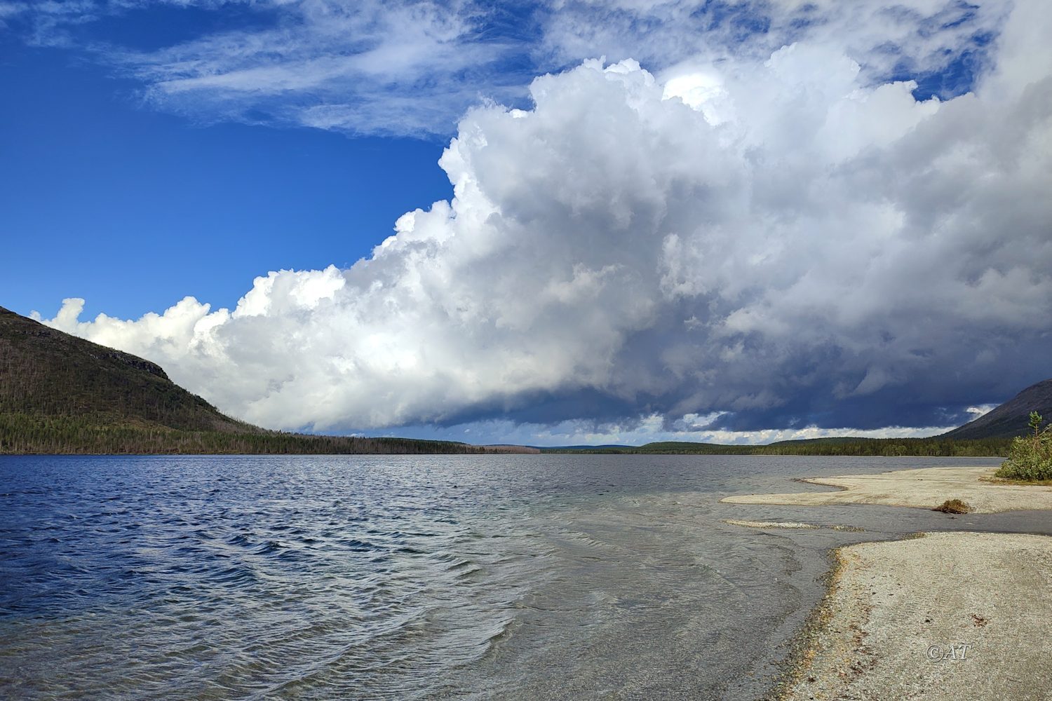 Ручей Лявойок, image of landscape/habitat.