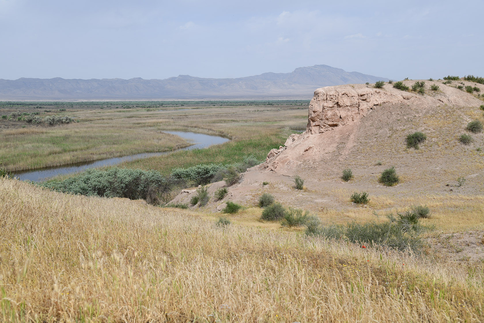 "Королевская дача", image of landscape/habitat.