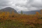 Image of landscape