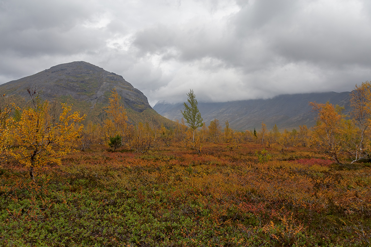 Долина Малого Вудъявра, image of landscape/habitat.