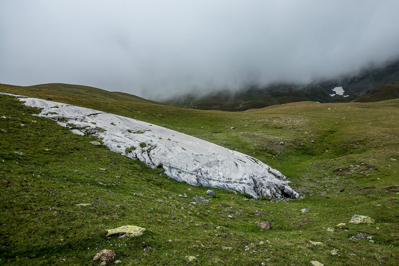 Озеро Провальное, image of landscape/habitat.