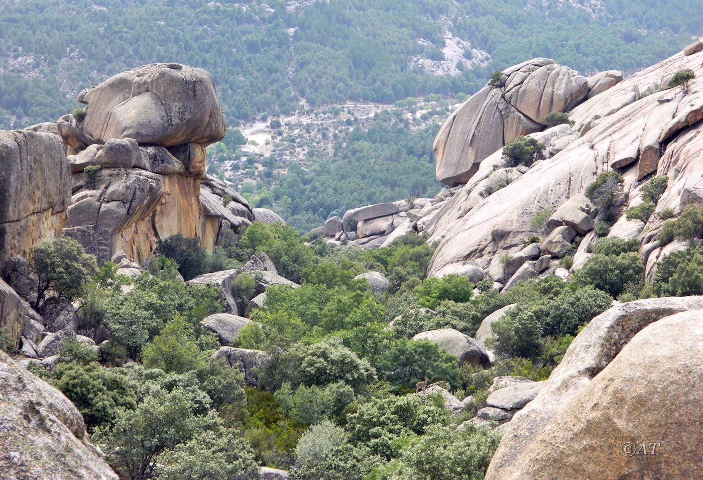 Долина ручья Уэртос (Huertos), image of landscape/habitat.