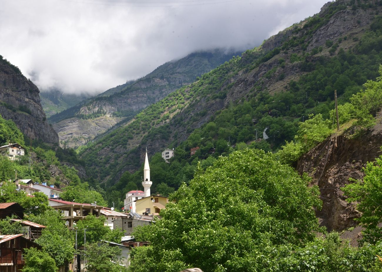 Ортакой, image of landscape/habitat.