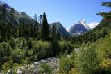 Архыз. Долина реки Псыш, image of landscape/habitat.