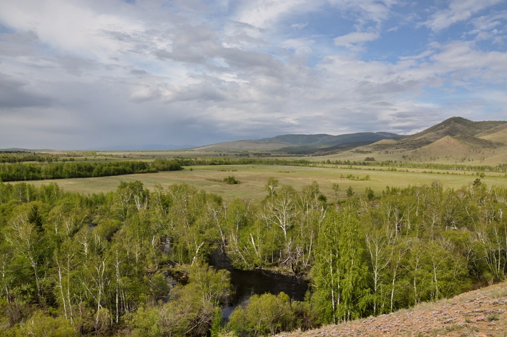 Озеро Абрамовское, image of landscape/habitat.