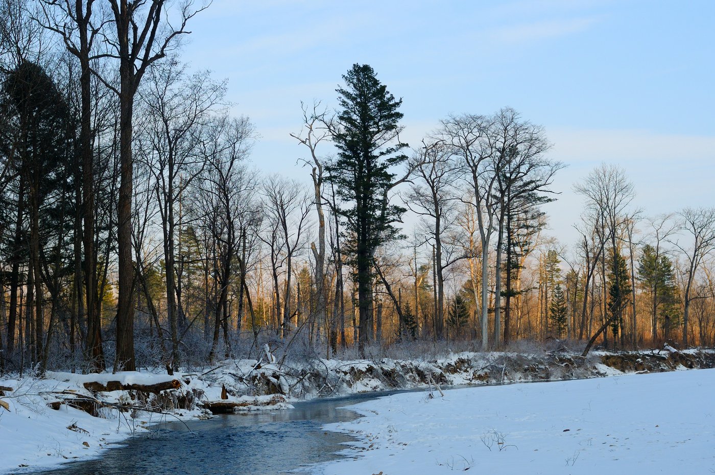 Долина р. Высокогорская, image of landscape/habitat.