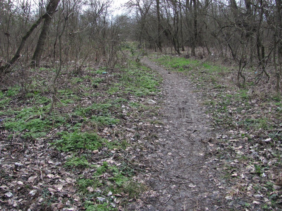 Холмская, image of landscape/habitat.