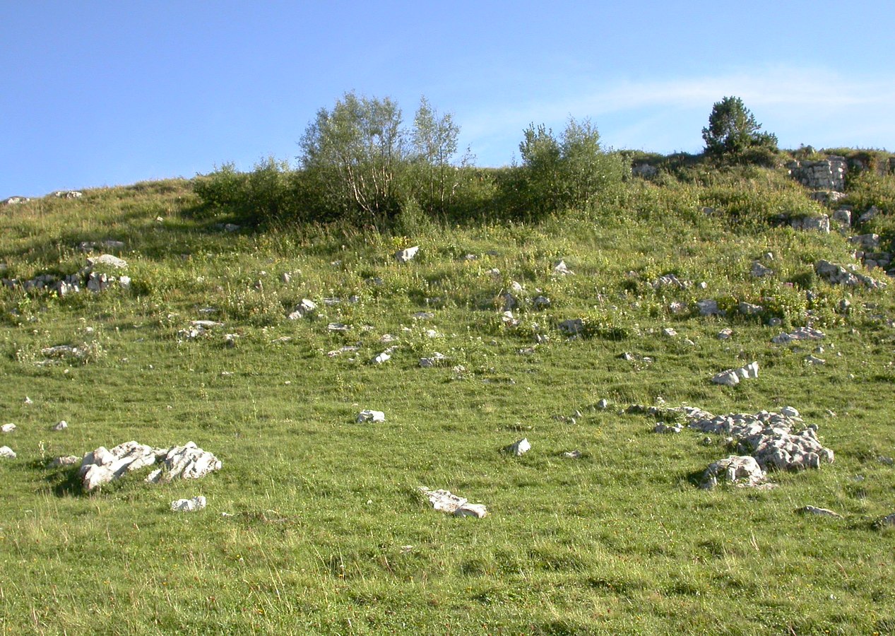 Лагонаки, image of landscape/habitat.