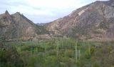 Image of landscape