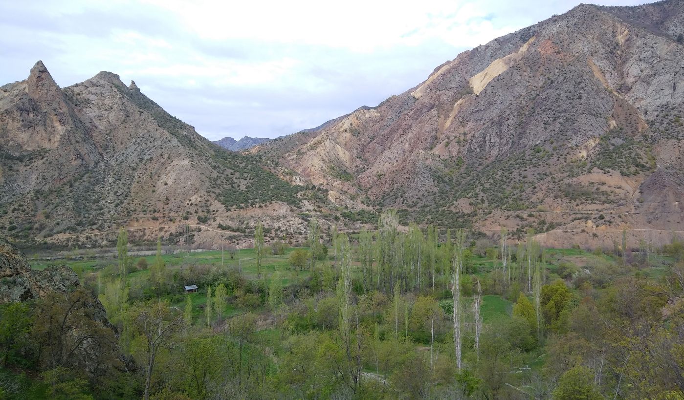 Окрестности деревни Кёрпюгёрен, image of landscape/habitat.