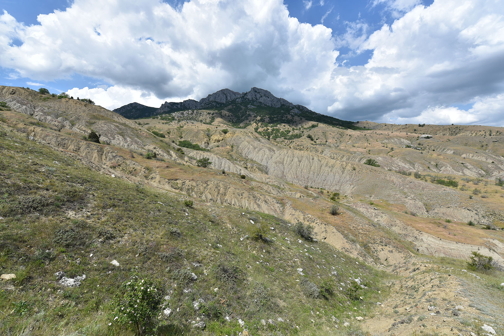 Лисья бухта, image of landscape/habitat.