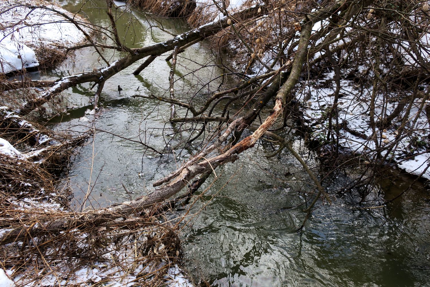 Малоярославец и окрестности, image of landscape/habitat.