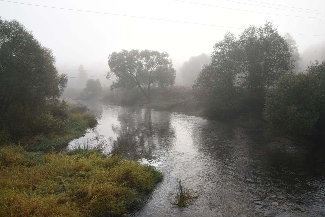 Окрестности деревни Сатино, image of landscape/habitat.