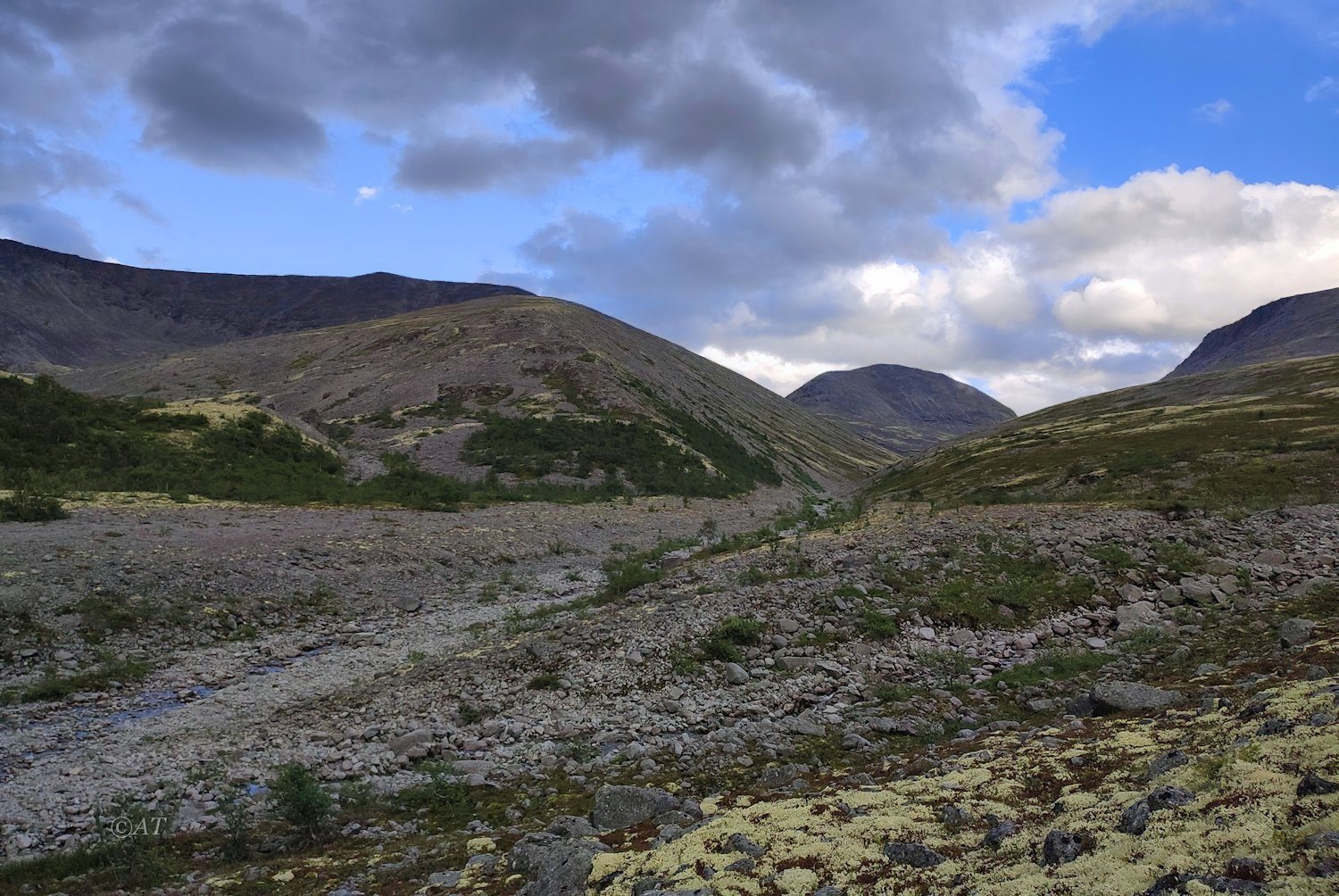 Ручей Лявойок, image of landscape/habitat.