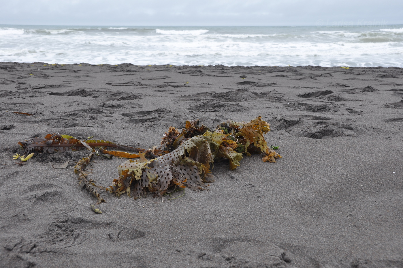 Халактырский пляж, image of landscape/habitat.