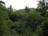 Image of landscape