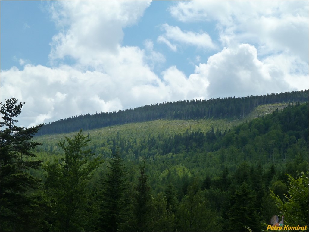 Козакивка, image of landscape/habitat.