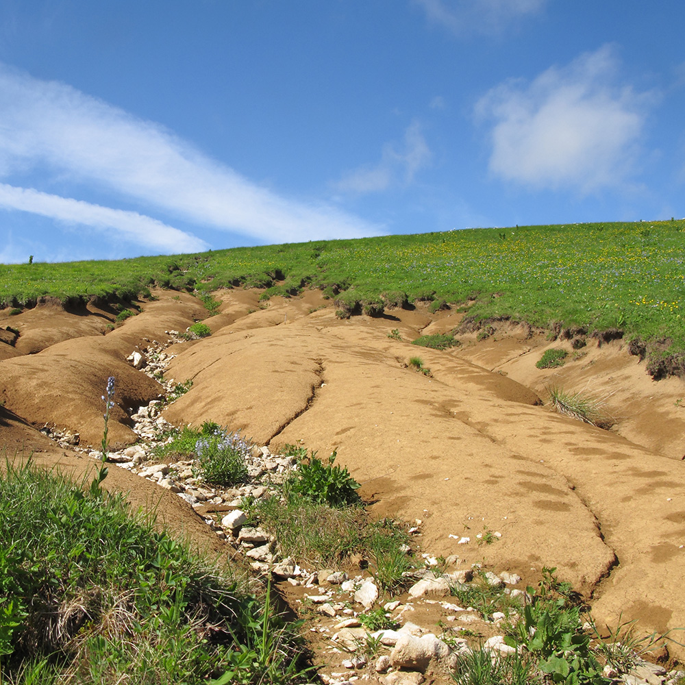 Абадзеш, image of landscape/habitat.