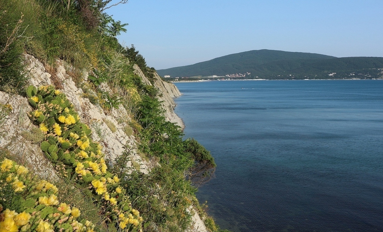 "Дикое место", image of landscape/habitat.