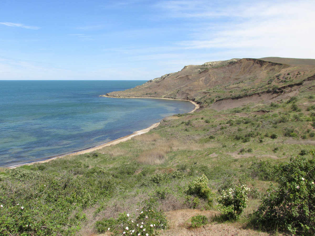 Мыс Тархан, image of landscape/habitat.