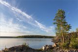 Чкаловский, image of landscape/habitat.