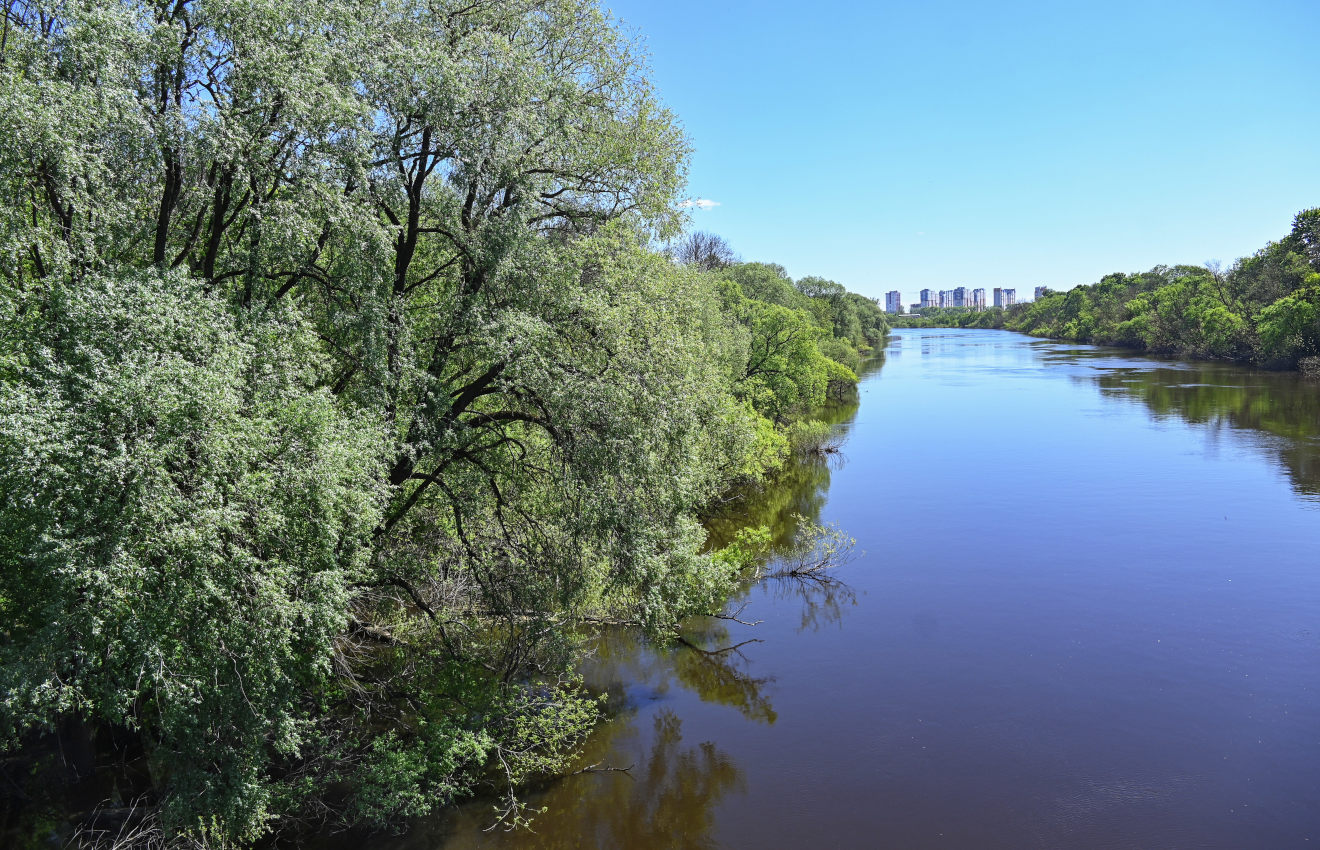 Брянск, image of landscape/habitat.