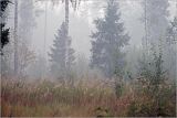 Окрестности Хрипани, image of landscape/habitat.