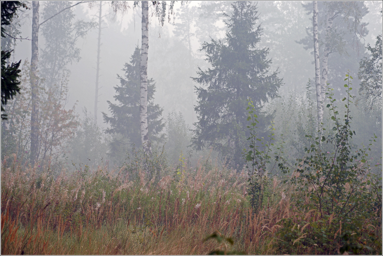 Окрестности Хрипани, image of landscape/habitat.