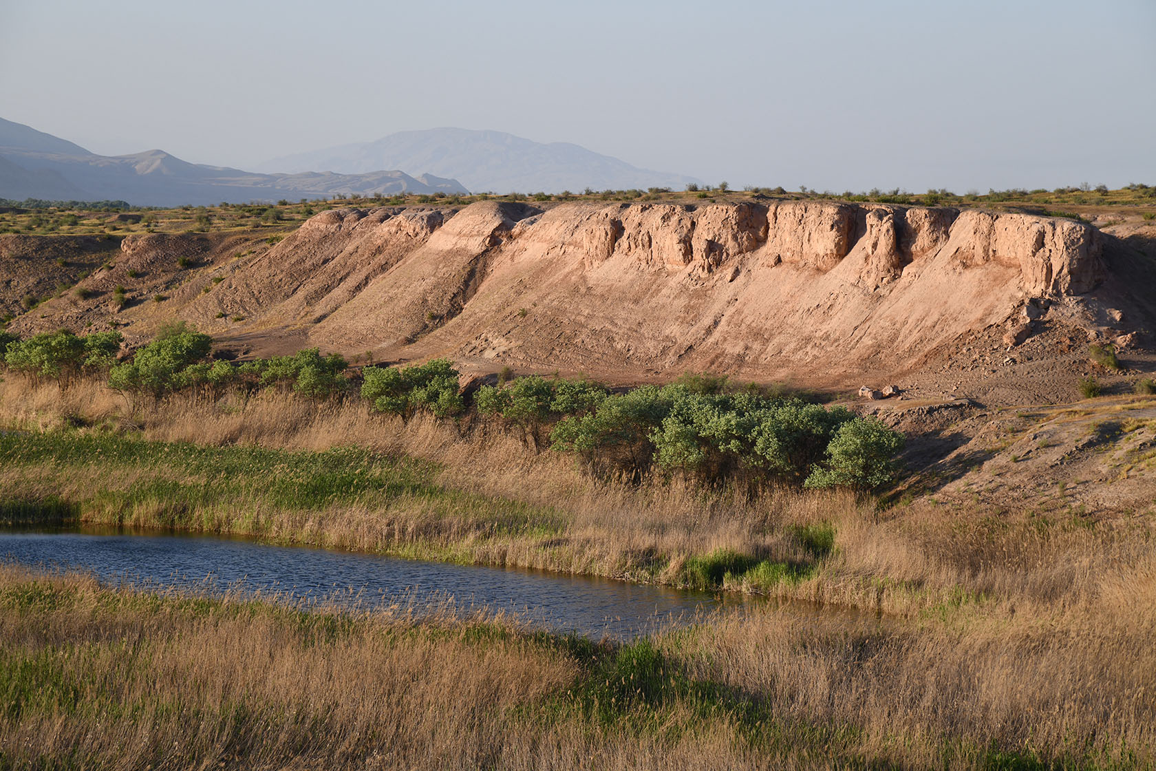 "Королевская дача", image of landscape/habitat.