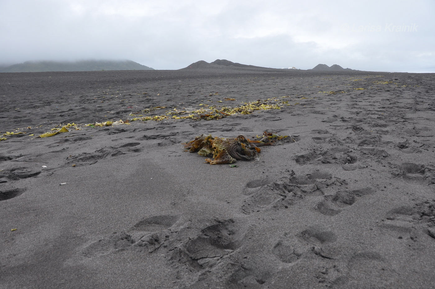 Халактырский пляж, image of landscape/habitat.